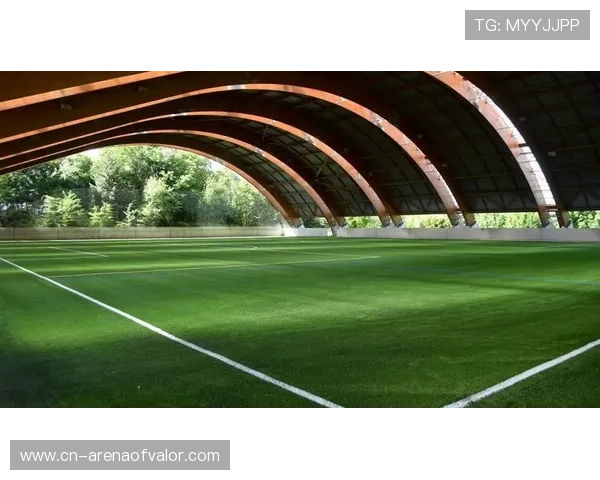 法国足球青训体系调整,注重心理建设与科学训练 法国足球青训体系调整,注重心理建设与科学训练